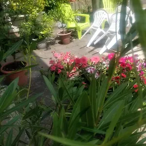  Hébergement de vacances La Maison D'odette